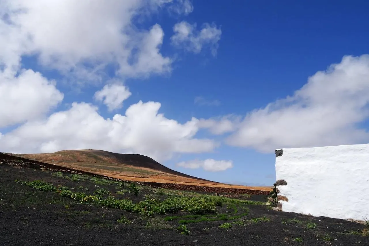 بيت للعطل فيلا Country House Finca Aloe In Teseguite
